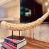 Hand-Carved Decorative Tusker Horn (Faux Ivory)