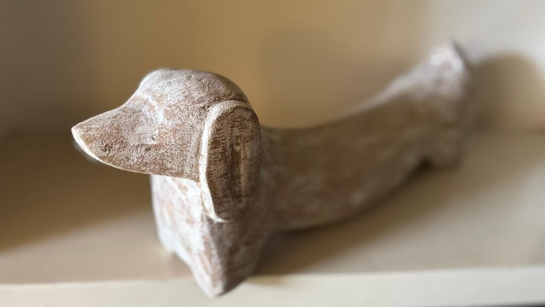 The Distressed Dachshund