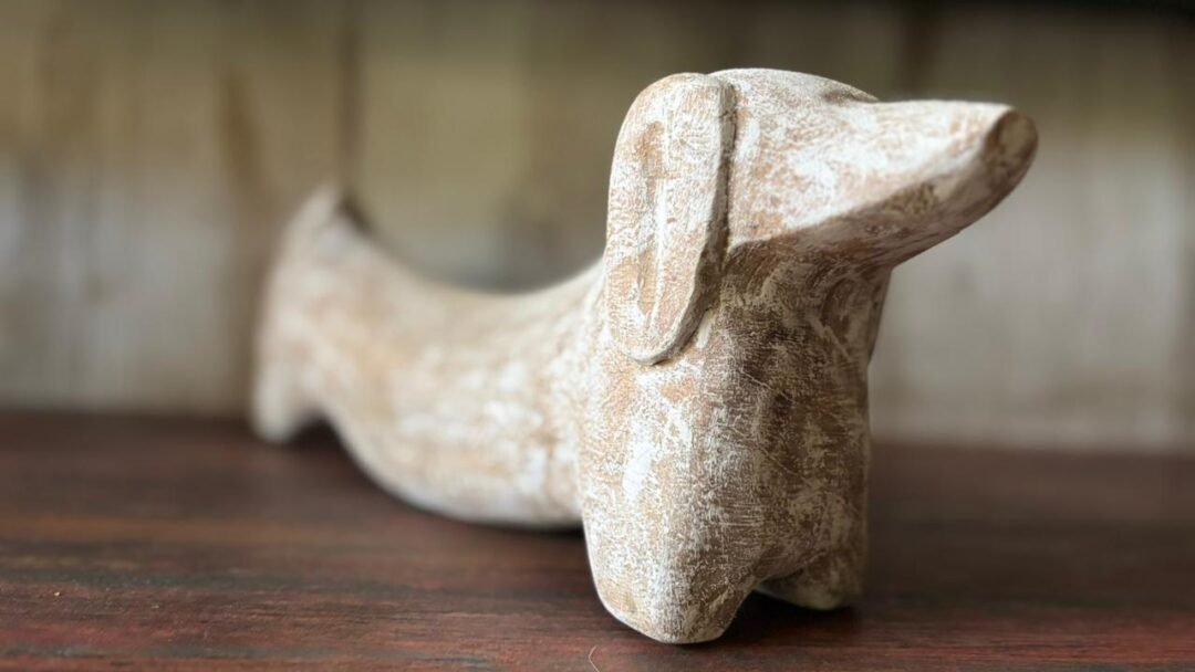 The Distressed Dachshund