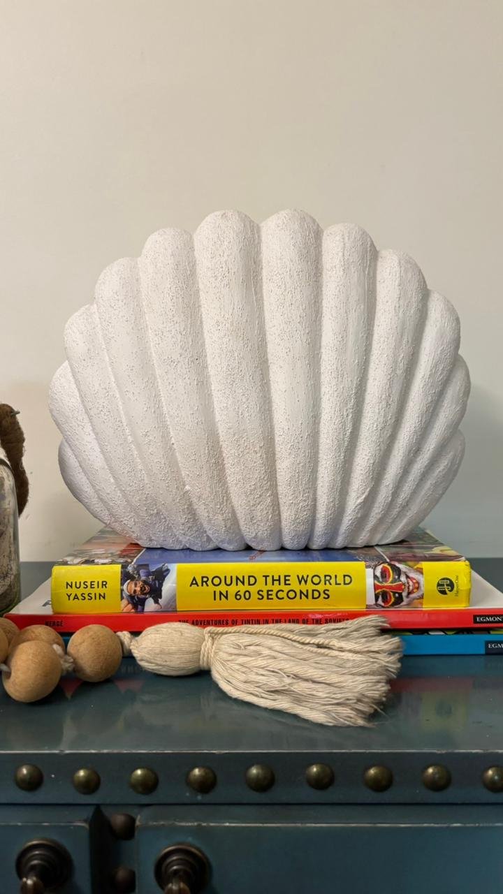 The Terracotta Seashell