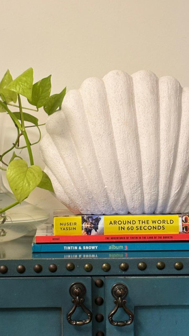 The Terracotta Seashell